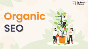 Unlocking the Potential of Organic SEO: A Guide to Sustainable Online Growth