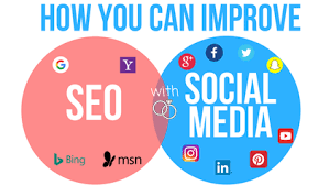 seo media